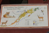 1980 wurde Ranthambore zum Nationalpark und 1991 wurde das Tiger-Schutzgebiet um die angrenzenden Kaila-Devi und Sawai-Man-Singh Wildreservate erweitert. Heute umfasst das Gebiet 1172 km2 und beherbergt u.a. eine Population von ca. 65 Bengaltigern.