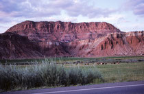 Durch die seit ca. 20 Millionen Jahren anhaltende Hebung des Colorado Plateau und die daraus resultierende Erosion wurden die aufgestellten Gesteinsschichten freigelegt und so ist diese „Hautfalte der Erde“ („wrinkle on the earh“ entstanden.