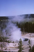 Manchmal kommen die Dämpfe zischend oder blubbernd aus der Erde, manchmal auch ganz undramatisch und lautlos. Der Boden um diese friedlich anmutenden „hot pools“ ist jedoch fragil und gefährlich. Man muss und darf nur auf den hölzernen Stegen gehen.