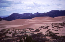 Der 1963 gegründete Coral Pink Sand Dunes State Park liegt im Süden Utahs.. Durch die topographische Lage wird die Windgeschwindigkeit vorerst so erhöht, dass der Wind erodierten Navajo-Sandstein mitreisst, dann verlangsamt und ihn im State Park ablagert.