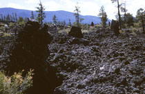 Süd-Oregon und Nord-Kalifornien sind reich an Zeugen vulkanischer Aktivität. Wir besuchten Lava Butte und den Lava Cave Forest. Hier stauten Bäume die Lava auf. Das Gestein erstarrte, die Pflanzen verbrannten und so blieben Löcher im Boden zurück.