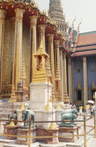 The Grand Palace: Naturgetreue Skulpturen der sogenannten weissen Elefanten, die im Besitz des Königs sind. Mögliche Kandidaten „weisser Elefanten“ welche die entsprechenden Kriterien erfüllen (s. u.) werden dann nämlich dem König als Geschenk angeboten.