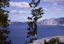 1902 wurde der 741 km2 grosse Crater Lake National Park – der einzige NP Oregons - gegründet. Der Kraterrand befindet sich 300 Meter oberhalb des Sees. Von der Strasse rund um den See, hat man immer wieder herrliche Ausblicke.