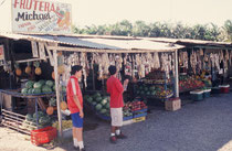 Verkaufststände an der Strasse zur Carara Biological Reserve.