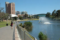 Das Convention Centre in Adelaide (Ort der Tagung der WAZA, 2008) mit dem River Torrens. Bereits hier haben wir zahlreiche interessante Vogelarten sehen können.