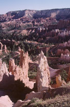 Auf dem Plateau herrschen die Douglastanne und Espen vor. Bestände der Gelb-Kiefer kennzeichnen die Mittellagen und Kiefern- und Koniferenwälder mit eingestreuten Manzanita-, Junibeeren- und Antilopenbitterbüschen die tiefer gelegenen Bereiche.