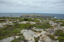 Das Cape du Coedic ist der südwestlichste Punkt von Kangaroo Island. Das Areal liegt im 326 km2 grossen Flinders-Chase-Nationalpark. Am 6. 12. 2007 entzündeten Blitze ein Buschfeuer, bei dem 19.542 ha Busch im Nationalpark verbrannten.