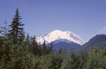 Der 953 km2 umfassende Mount-Rainier-Nationalpark wurde am 2. März 1899 gegründet Sein Wahrzeichen ist der 4392 m hohe Mount Rainier, der höchste Berg der Kaskadenkette, mit vulkanischem Ursprung. Seine alpine Fauna (und Flora) macht den Berg einmalig.