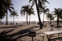 Im Jahre 1994 (CITES CoP in Fort Lauderdale) besuchten wir am freien Wochenende u.a. den Key Biscayne National Park und den Everglades National Park in Florida. Einige Bilder seien hier angehängt. So ging es denn vom Sandstrand in Fort Lauderdale…