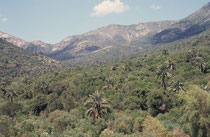 Der 160 km nördlich von Santiago gelegene La Campana National Park  repräsentiert den Landschaftstyp des chilenischen Zentrallandes (Küstengebirges), mit einem der letzten grossen natürlichen Bestände der Honigpalme (Jubaea chilensis).