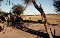 In Maun übernachteten wir im Camp des Tour Organisators (Drifters). Im ausgetrockneten Flussbett im Hintergrund floss kurz vor unserer Ankunft ein breiter Strom, der Thamalakane River (er wird später zum Boteti River, dem Zufluss zur Makgadikgadi-Pfanne)