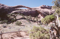 Der Landscape Arch, der Steinbogen mit der grössten Spannweite