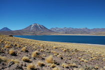 Im Hintergrund der 5622 m hohe Cerro Miscanti