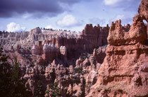 Der Bryce Canyon wurde nicht durch einen Fluss gebildet. Er ist damit kein Canyon im eigentlichen Sinne wie zum Beispiel der Grand Canyon. Wind, Wasser und Eis erodierten die Kante des Plateaus zu grossen Amphitheatern mit den bizarren Felsnadeln.