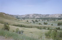 Ein Blick auf den 285 km2 grossen Theodore Roosevelt National Park im westlichen Nord Dakota. Er besteht aus durch Erosion geprägten Landschaften („Badlands“) und Prärie. Roosevelt kam 1883 erstmals in die Badlands, um Bisons zu jagen.