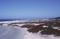 Das ist das nördliche Ende des 17 Miles Drive. Hier verlässt man die mediterran anmutende Felsküste. Von hier war es ein kurzer Weg bis nach San Francisco, dem Ende unsere Reise  von wo uns das Flugzeug wieder zurück nach Europa brachte.