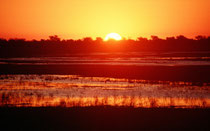 Sonnenuntergang am Chobe Fluss.