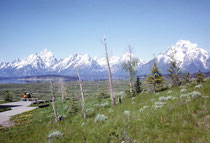 Nach der intensiven Zeit im Grand Teton NP ging im Spätsommer 1964 meine Studienzeit in den USA zu Ende. Ich verkaufte den Rambler und fuhr mit dem Greyhound-Bus via St. Louis nach New York und dann mit dem Schiff  „SS Aurora“ wieder zurück nach Europa.