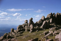 Eine Autostrasse führt bis zum Gipfel des Pikes Peak (einige Wagen haben Schwierigkeiten in dieser Höhe), von wo aus man nicht nur eine gute Sicht auf Colorado Springs geniesst, sondern weit über den Staat Colorado sehen kann.