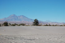 Auf der Fahrt von San Pedro de Atacama zur Salar de Atacama kamen wir an diesem kleinen Ort vorbei. Wie eine Oase in einer Nordafrikanische Wüste bildeten die grünen Pflanzen eine Insel inmitten unwirtlicher Wüstenlandschaft.