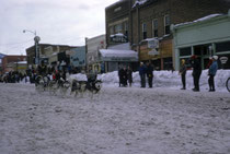 Bei der Rahmenveranstaltung zu unseren Rennen in Steamboat Springs fand eine Schlittenhunde-Demonstration statt. Dazu wurde die Hauptstrasse mit Schnee zugedeckt. Für mich war das sensationell. Ich hatte so etwas vorher noch nie gesehen.