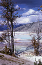 Aufgrund immer neuer Ablagerungen wechseln Fliessrichtung, Temperatur, Farben ja das ganze Erscheinungsbild der Terrassen von Jahr zu Jahr. (Weitere Bilder aus dem Yellowstone NP befinden sich in der Galerie USA III.) 