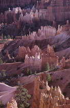 Die „Hoodoos“ genannten turmartigen Gebilde aus Sedimentgesteinen können eine Höhe von bis zu 60 m erreichen. Wind, Wasser und Eis erodierten die Kante des Plateaus zu grossen Amphitheatern mit den bizarren Felsnadeln.