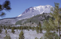 Das Gebiet ist seit 1916 Nationalpark. Dampfende Schwefelschlote, blubbernde Schlammtöpfe, kochende Quellen – all diese Naturphänomene verdeutlichen, dass die Erde in diesem faszinierenden Park noch lange nicht zur Ruhe gekommen ist.