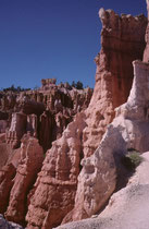 Der Ausflug geht bis auf den Grund des Canyons und führt dann allmählich wieder hoch auf das Plateau.Aufgrund der Lichtverhältnisse sieht der Himmel von der Tiefe des Canyons aus betrachtet, tatsächlich so unwirklich tiefblau aus.