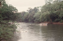 Fahrt auf dem Sarapiqui River.