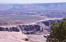 Aussicht auf den White Rim, eine Sandsteinabbruchkante rund 360 Meter unterhalb des Plateaus, und auf die Flussläufe, weitere 300 m unterhalb des White Rims. Die weitläufige grüne Hochebene dürfte das „Island in the Sky“ sein.