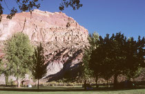 Der Campground des Capitol Reef NPs. Ein Ranger erklärte uns u.a. bei einem “Talk” am abendlichen Lagerfeuer, wie wir uns bei einer Begegnung mit einem Bären oder einem Puma verhalten sollten…