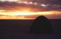 In der Makgadikgadi-Salzpfanne stellten wir zum ersten Mal auf dieser Reise unser Camp auf. Ein Feuer wurde entfacht, Jeremy, unser Guide, kochte ein leckeres Nachtessen und wir genossen einen unglaublichen Sonnenuntergang und eine ganz stille Sternennach