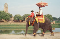 Sightseeing in Autthaya. Die Elefanten werden in einem grossen Stallgebäude gehalten. Die Mahouts sind alle gleich altertümlich gekleidet („uniformiert“).