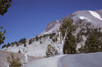 Auf gut ausgebauter Strasse ging es immer höher – und immer näher an den Berg.. Beim Parkplatz am Ende der Strasse zogen wir die Bergschuhe an und wanderten zusammen mit anderen Abenteuerlustigen über den 4,5 km langen „Lassen Peak Trail“ gipfelwärts.