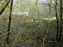 Wiederentdeckt: Die Spielhaus-Brandruine