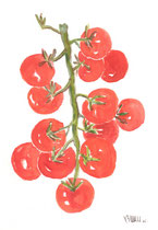 Branche de tomates - 35X20cm - sur  (possible différentes tailles) - TOM001