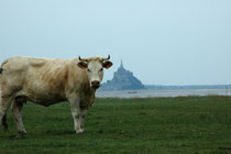 Le Mont Saint Michel; France