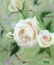 白い薔薇　F3号　油彩画・キャンバス （2020年）