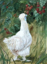 ブラックベリーを啄む烏骨鶏　F4号　油彩画・キャンバス （2020年）個人蔵