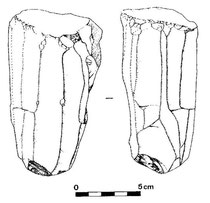 nucleus à lames