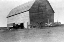 Berg farm in Dodge County, Hayfield, Minnesota
