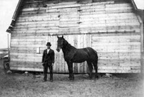 Berg farm in Dodge County, Hayfield, Minnesota