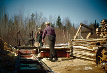 Sawmill