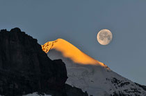 Silberhorn - Grindelwald 2008