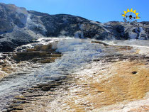 Minerva-Terrasse bei Mammoth Hot Springs im Yellowstone Nationalpark.