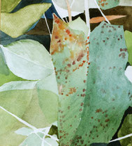 222  //  "Alles ist Blatt"  //  Ausschnitt