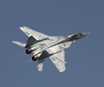 MiG29 0619-12