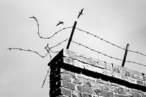 Auschwitz noir et blanc Leica M6
