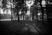 Auschwitz noir et blanc Leica 